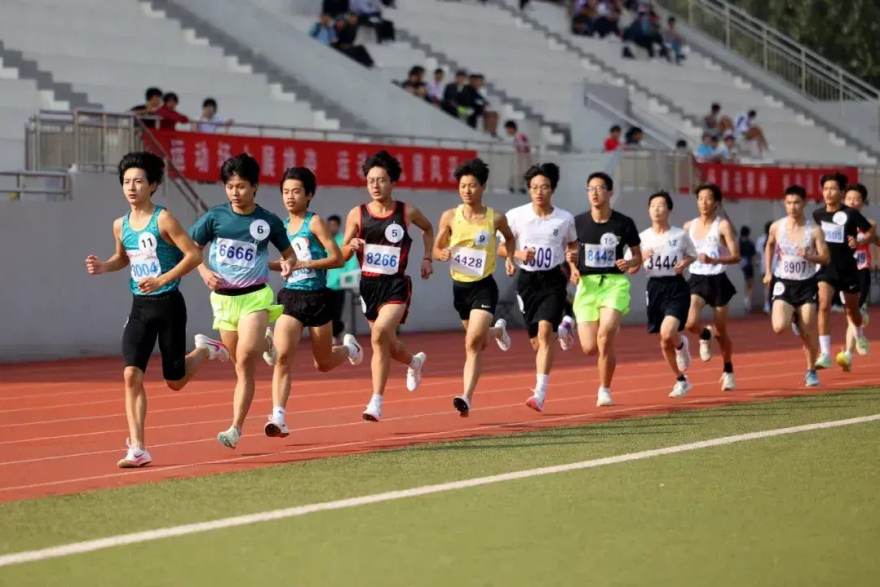 球速体育数据面板与赛程查询功能